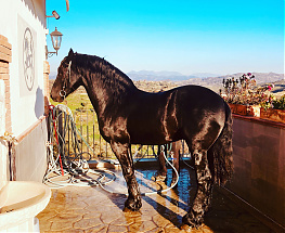 TAVASZI GASZTROTÚRA